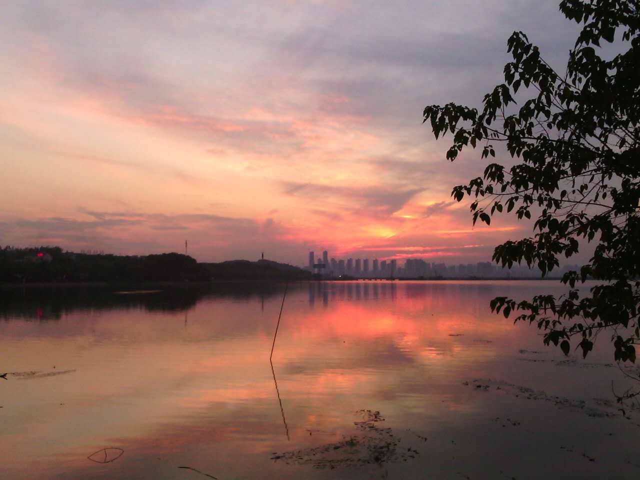 Vertical photo