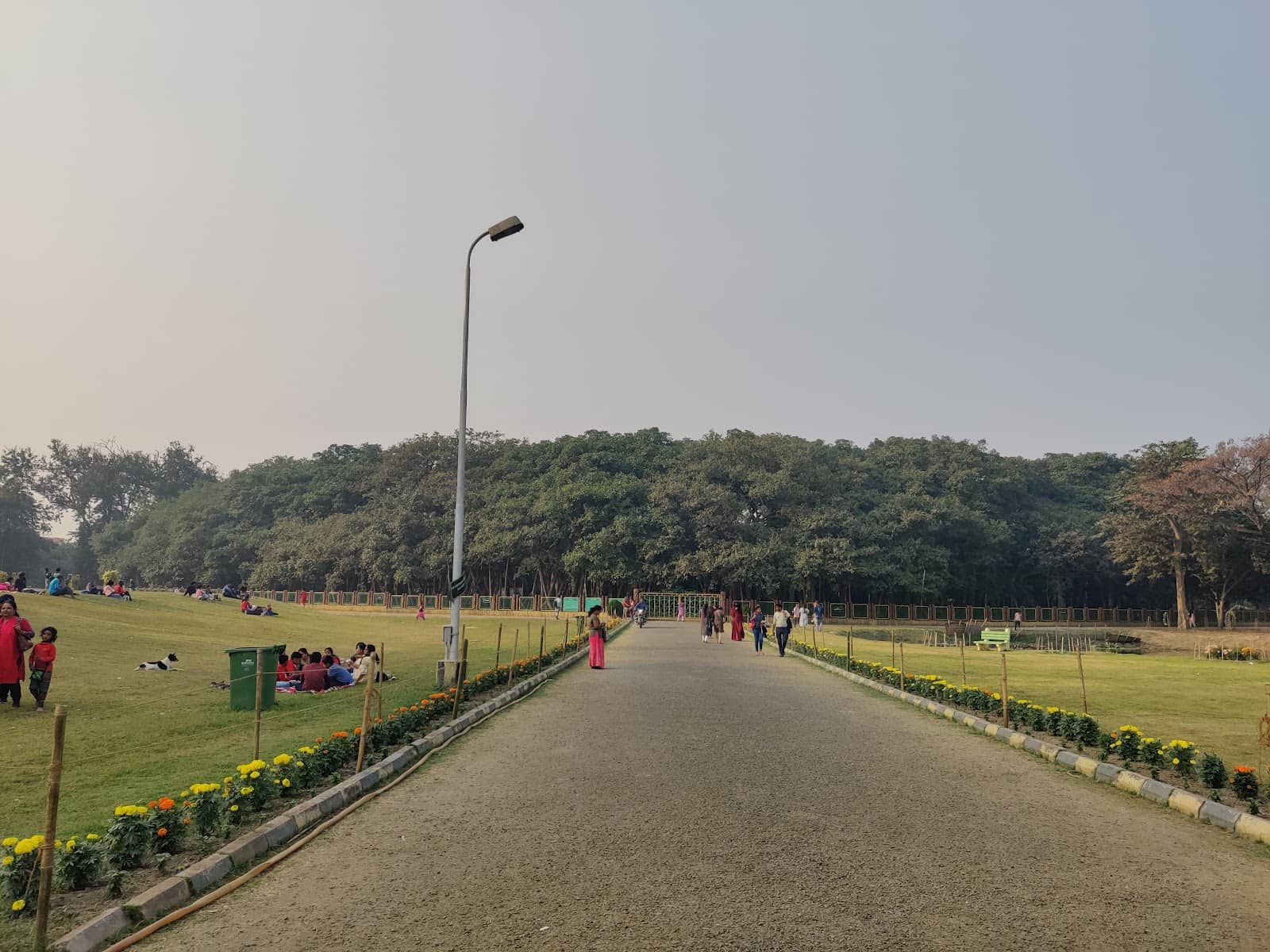 Vibrant Flower Gardens