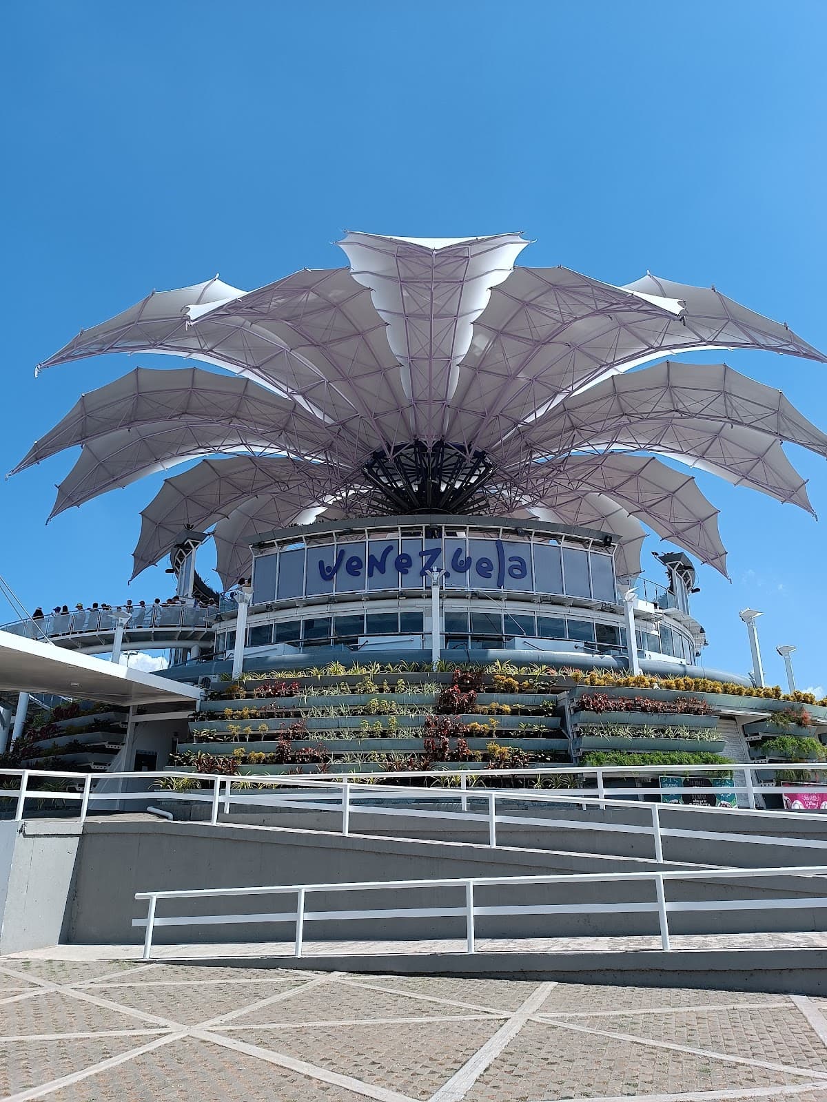 Flor de Venezuela - Image 1