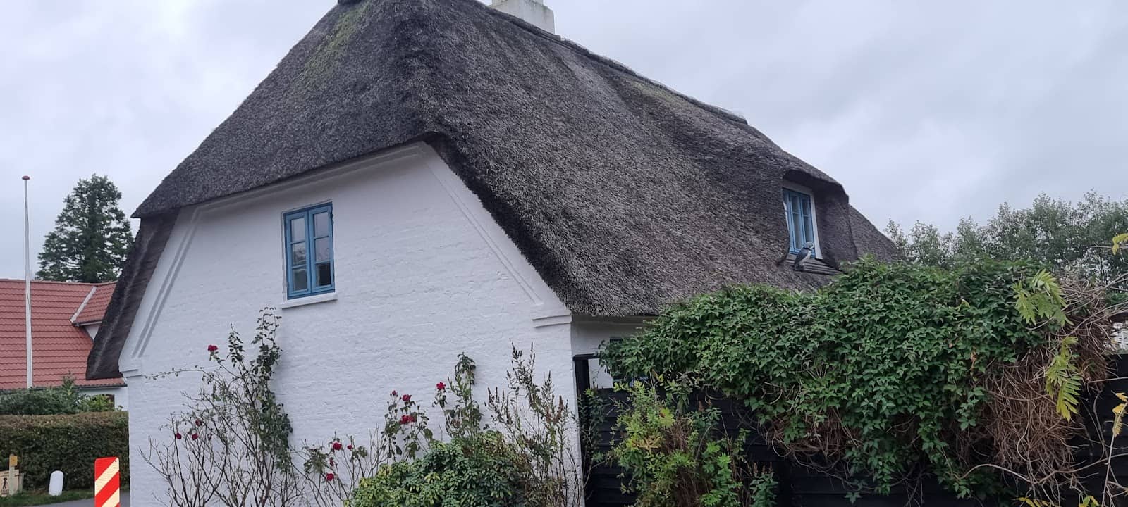 Nature & Sustainability