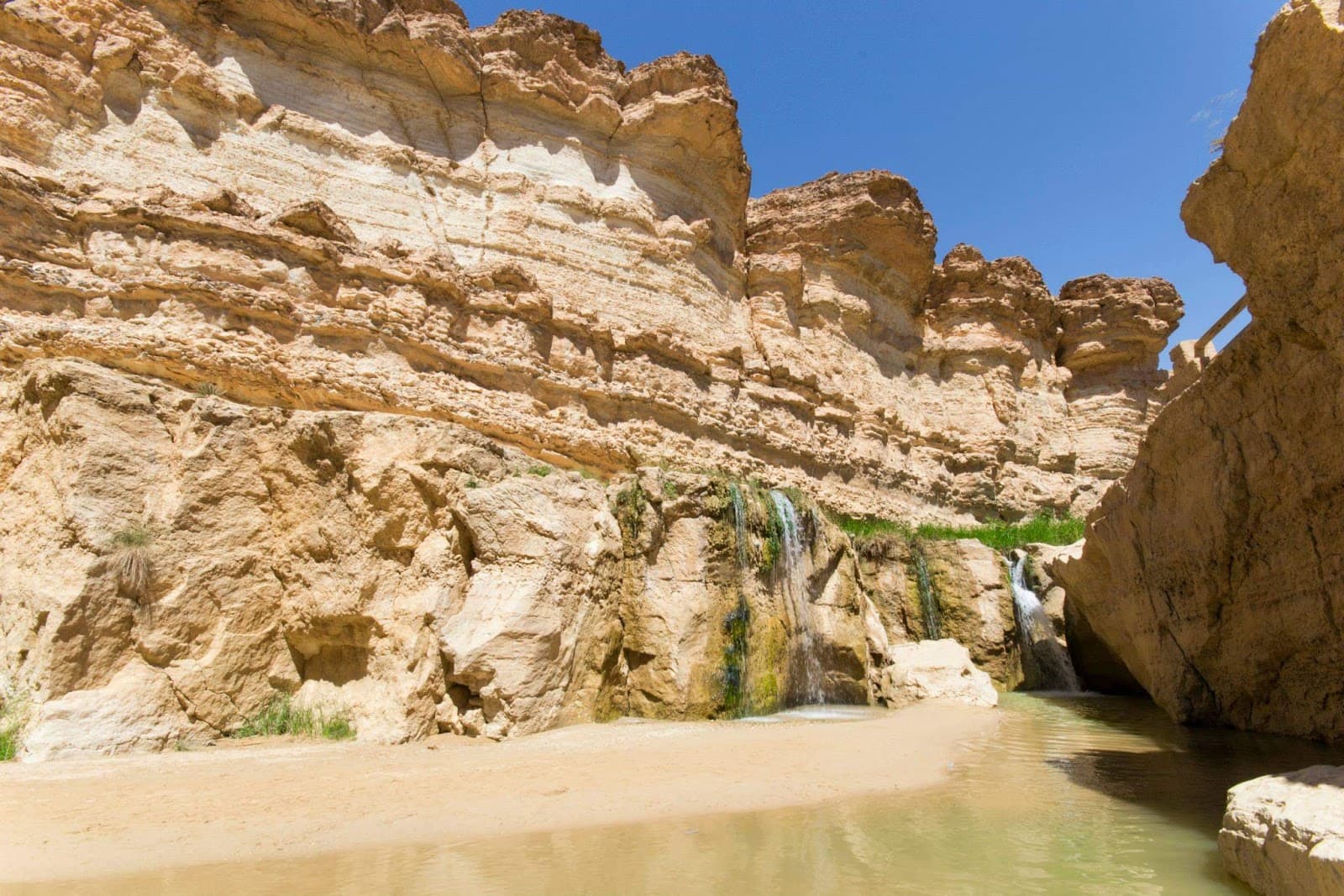 Tamerza Waterfall - Image 1
