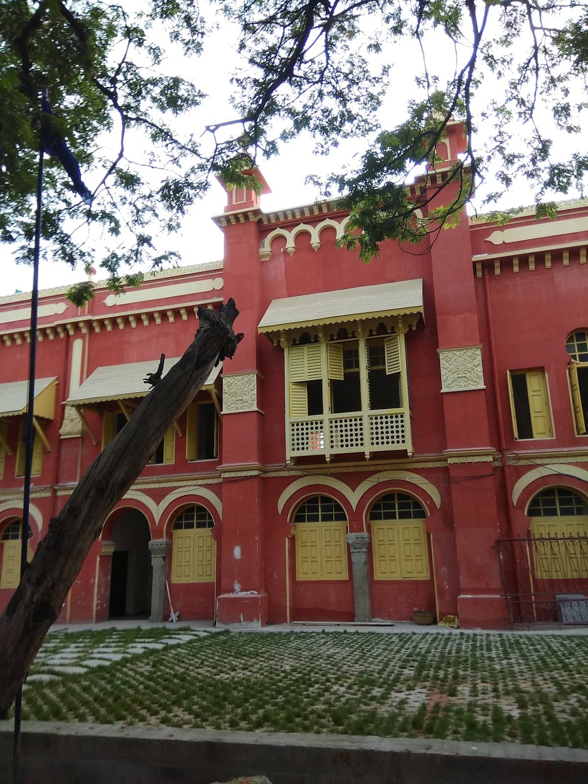 Conservation Efforts