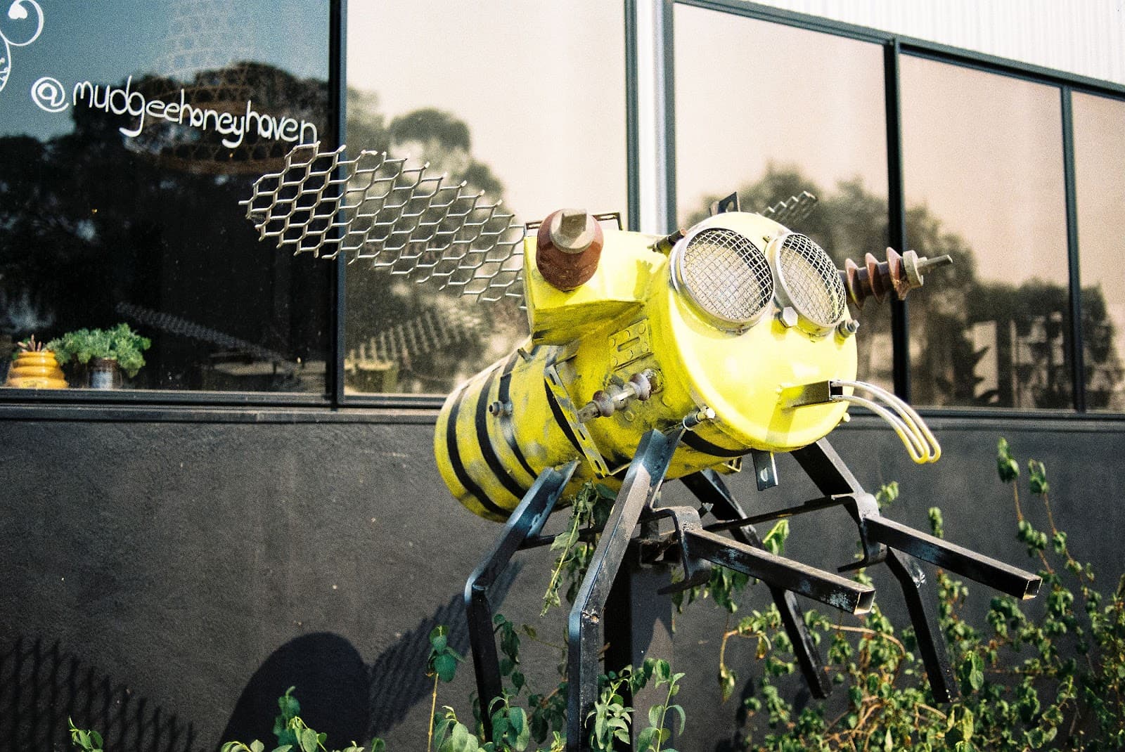 Mudgee Honey Haven - Image 1