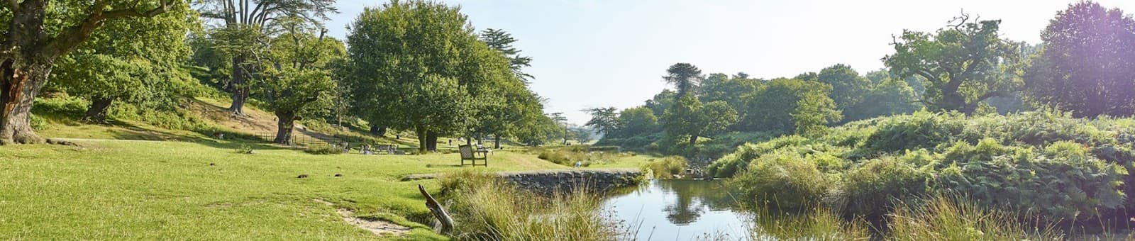 Bradgate Park - Image 1