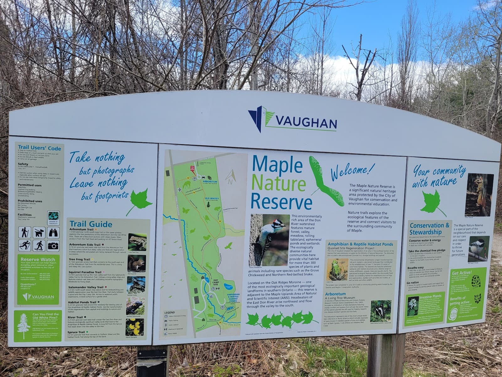 Maple Heritage District - Image 1