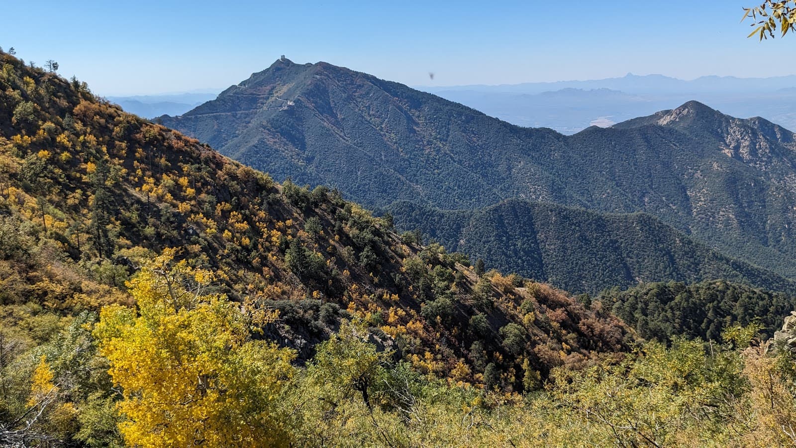 Mount Wrightson Wilderness - Image 1