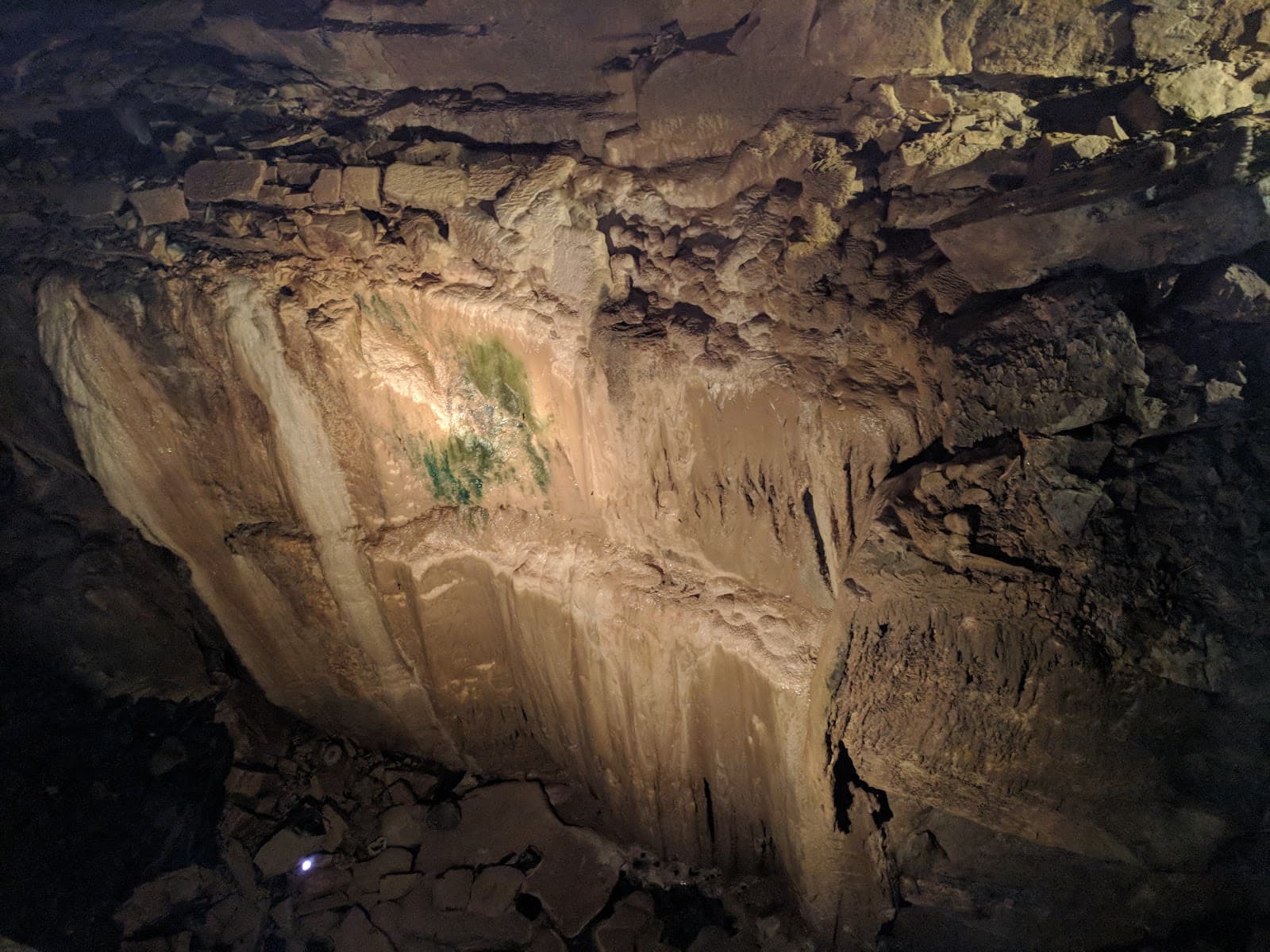Aillwee Cave & Birds of Prey - Image 1