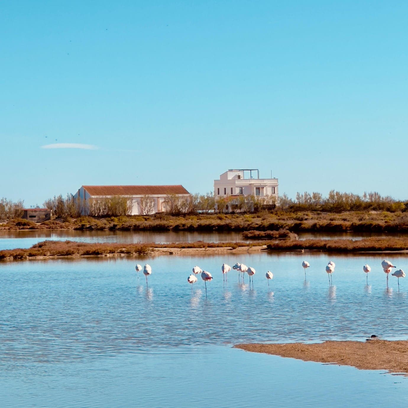MónNatura Delta de l'Ebre - Image 1