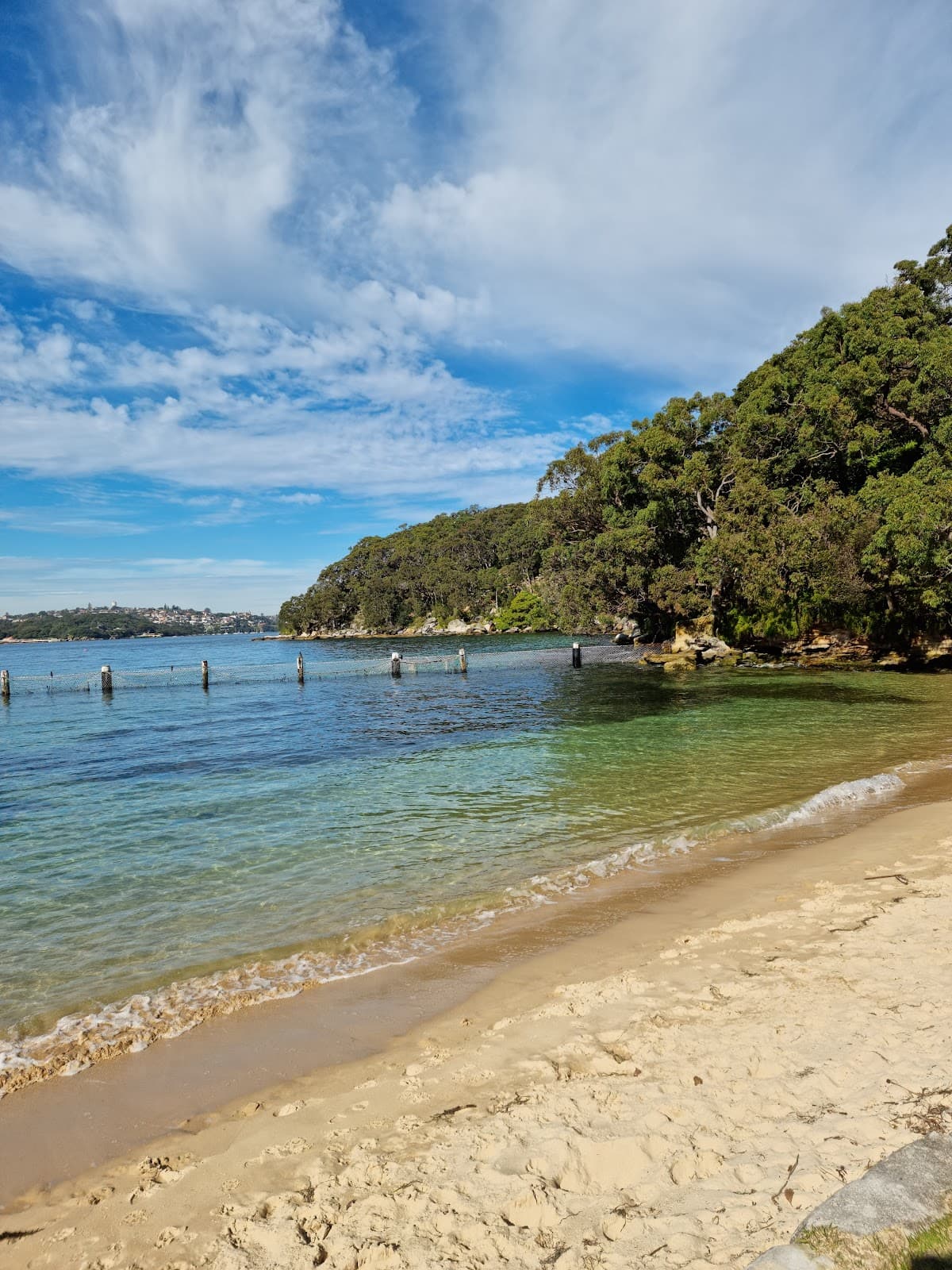 Clifton Gardens Reserve - Image 1