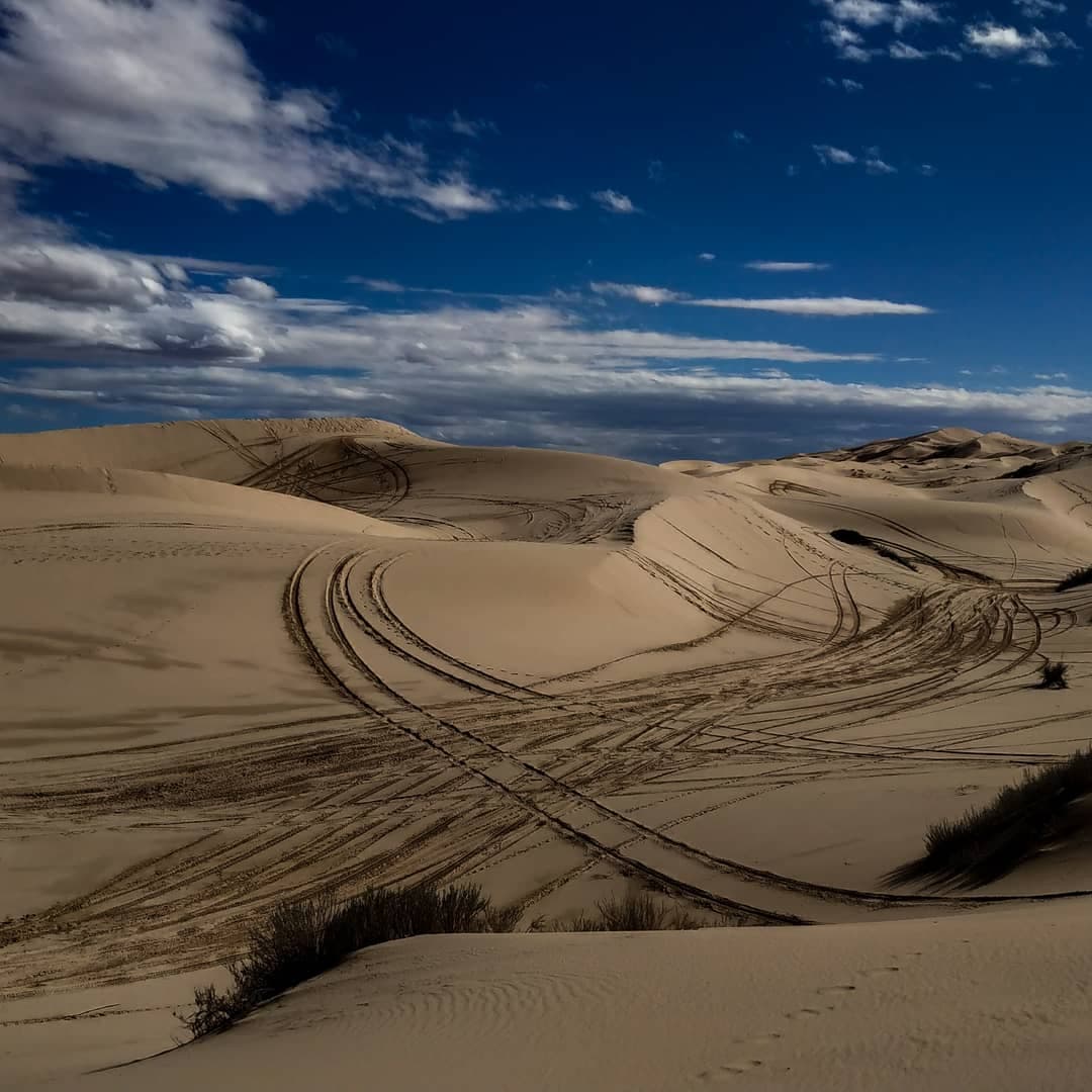 Samalayuca Dunes (Médanos de Samalayuca) - Image 1