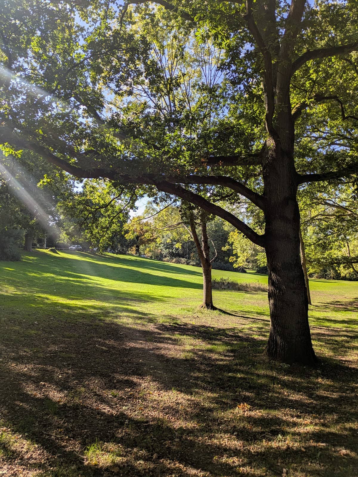 Joel Park Lake