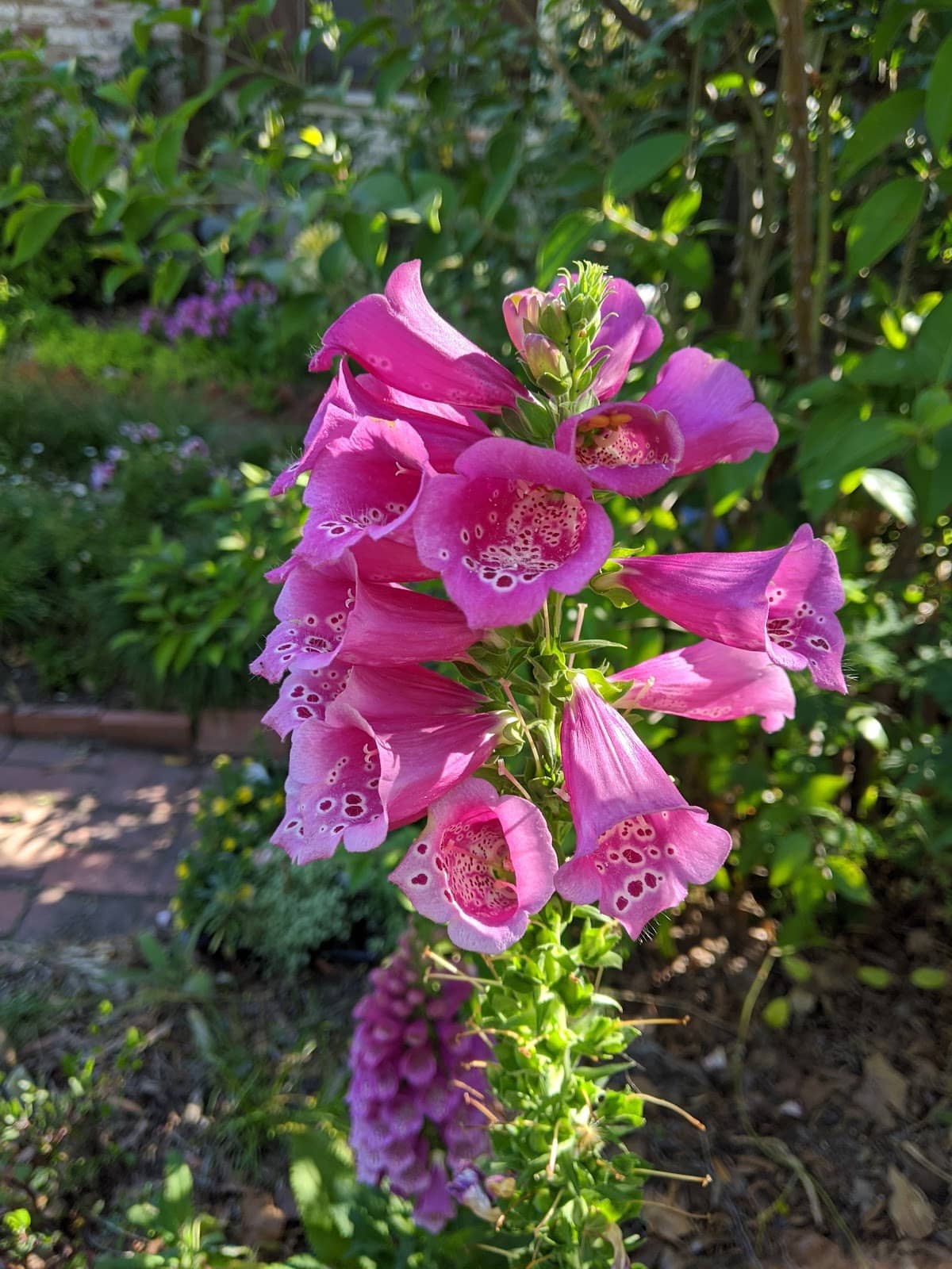 Proximity to Stanford University