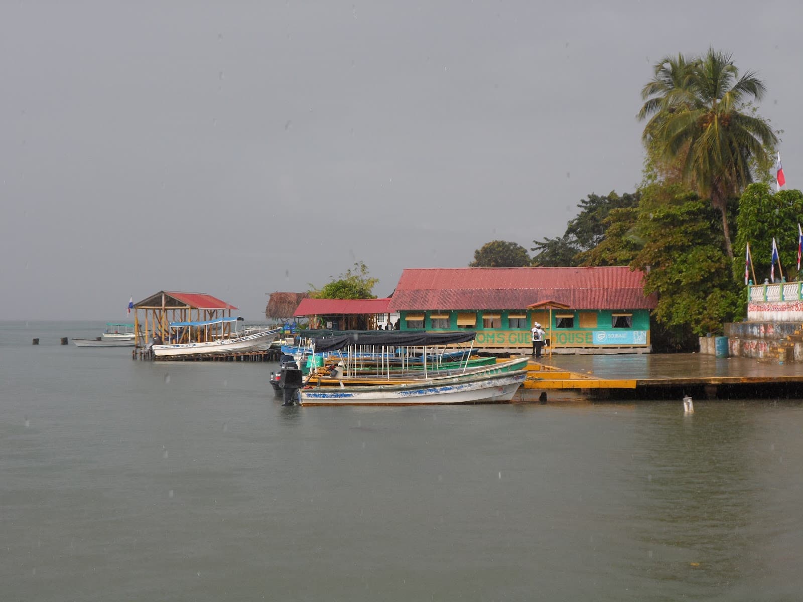 Old Bank (Isla Bastimentos) - Image 1