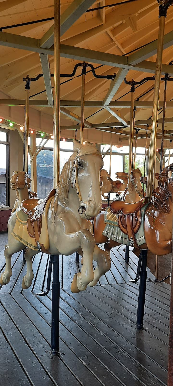 George W. Johnson Park Carousel - Image 1