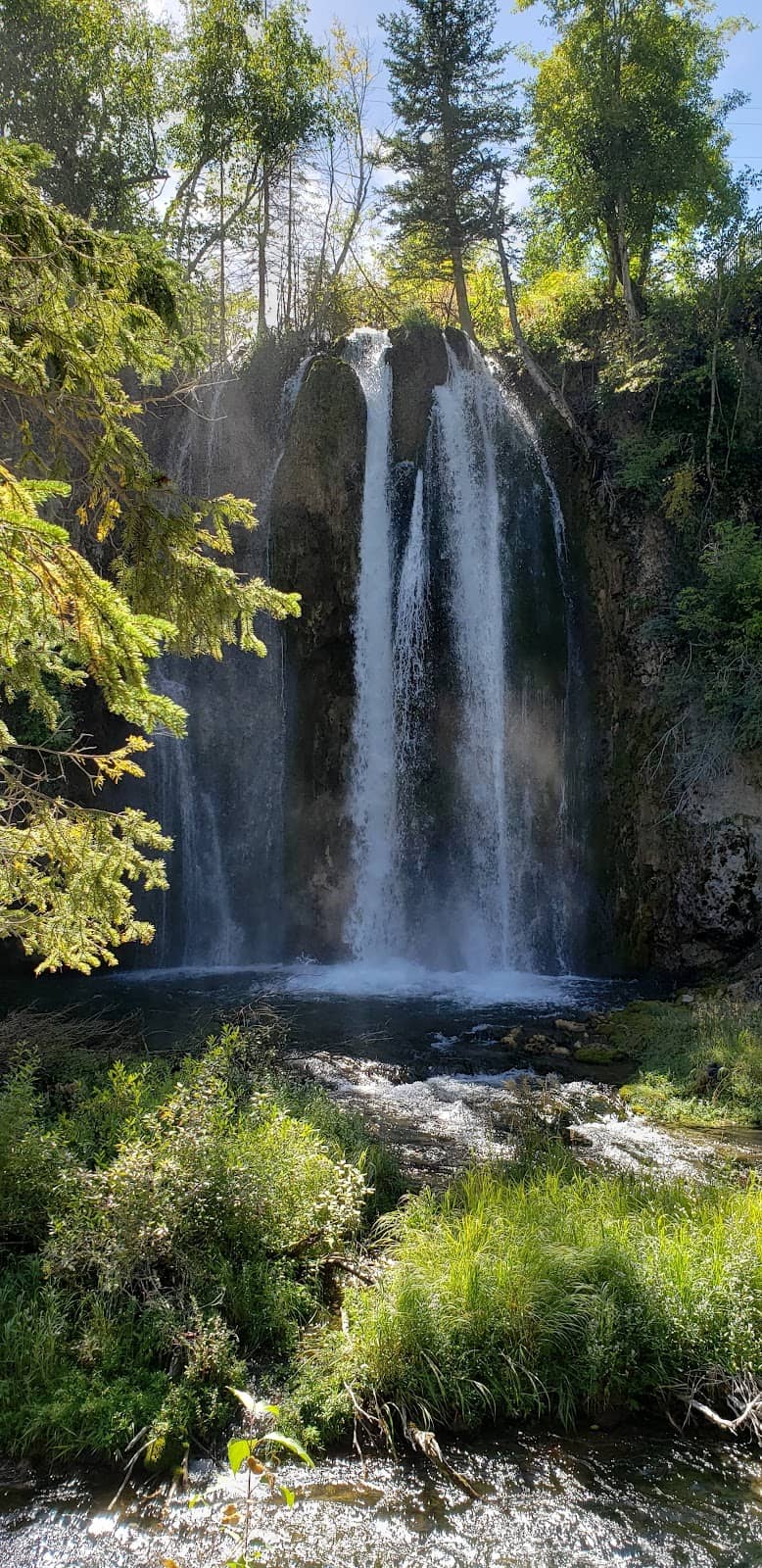 Vertical photo