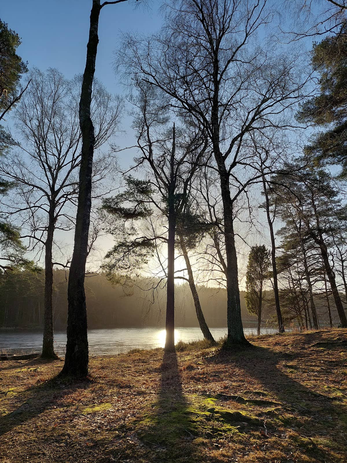 Gravel Biking Trails