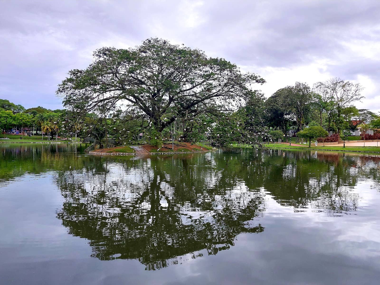 Family-Friendly Playground