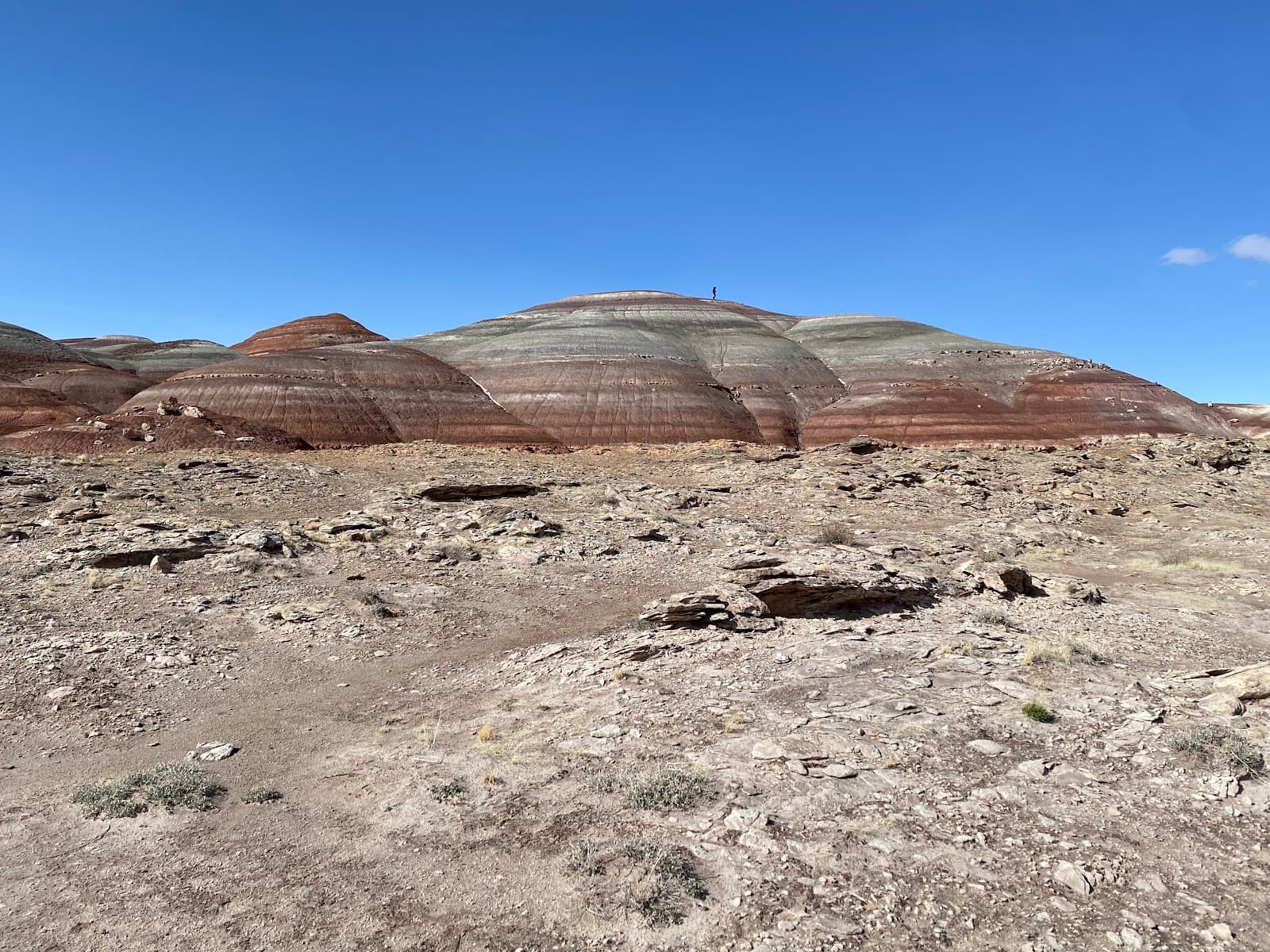 Mars Desert Research Station - Image 1