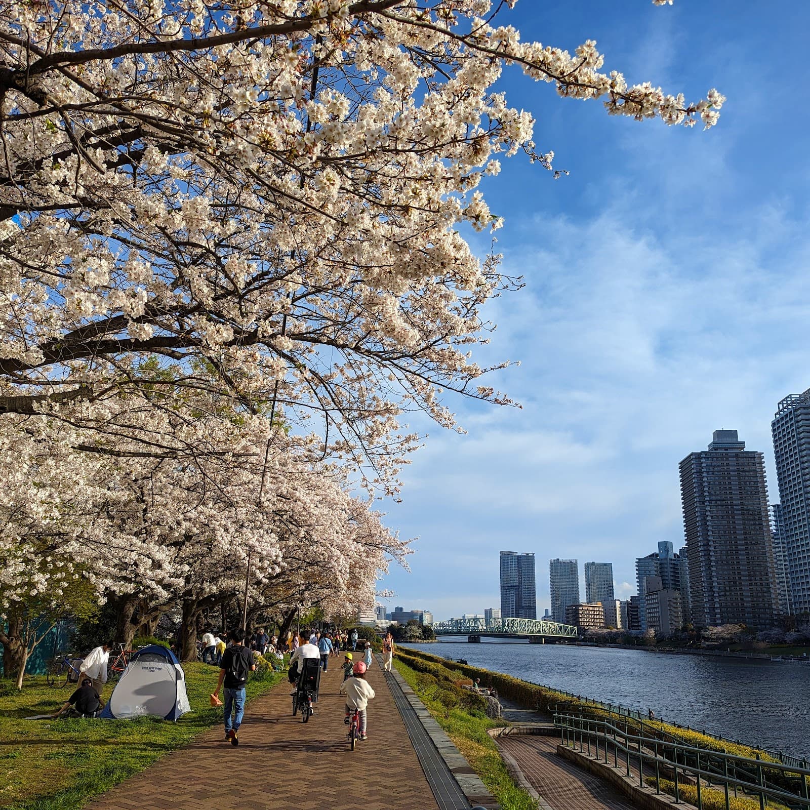 Ishikawajima Park - Image 1