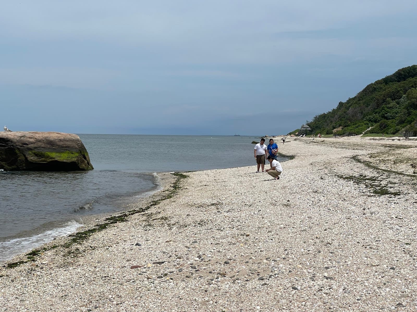 Reeves Beach - Image 1