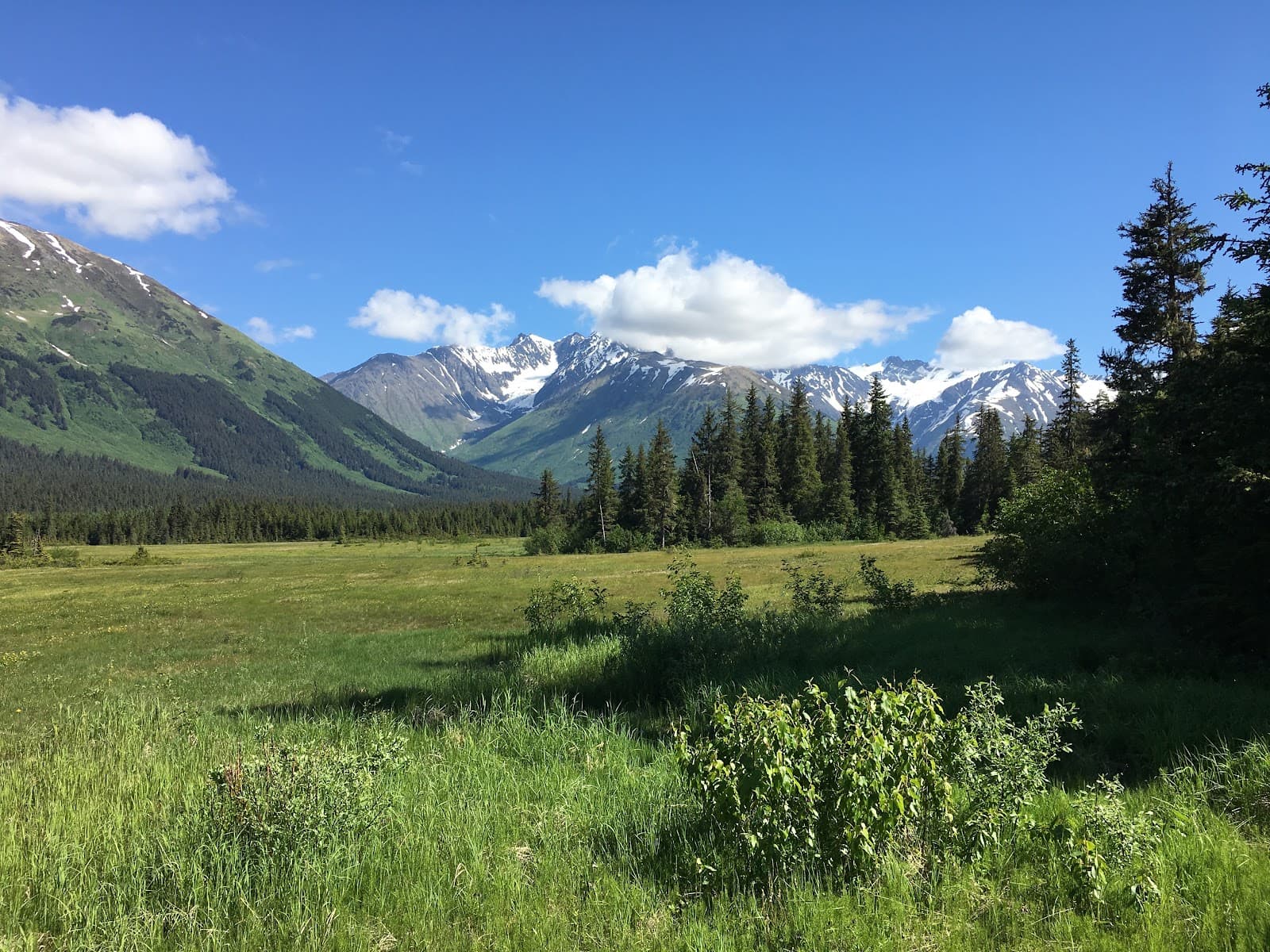 Moose Meadow Park - Image 1