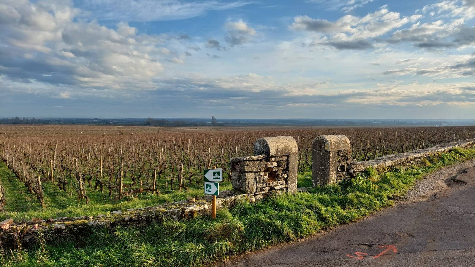 Domaine Michel Arcelain