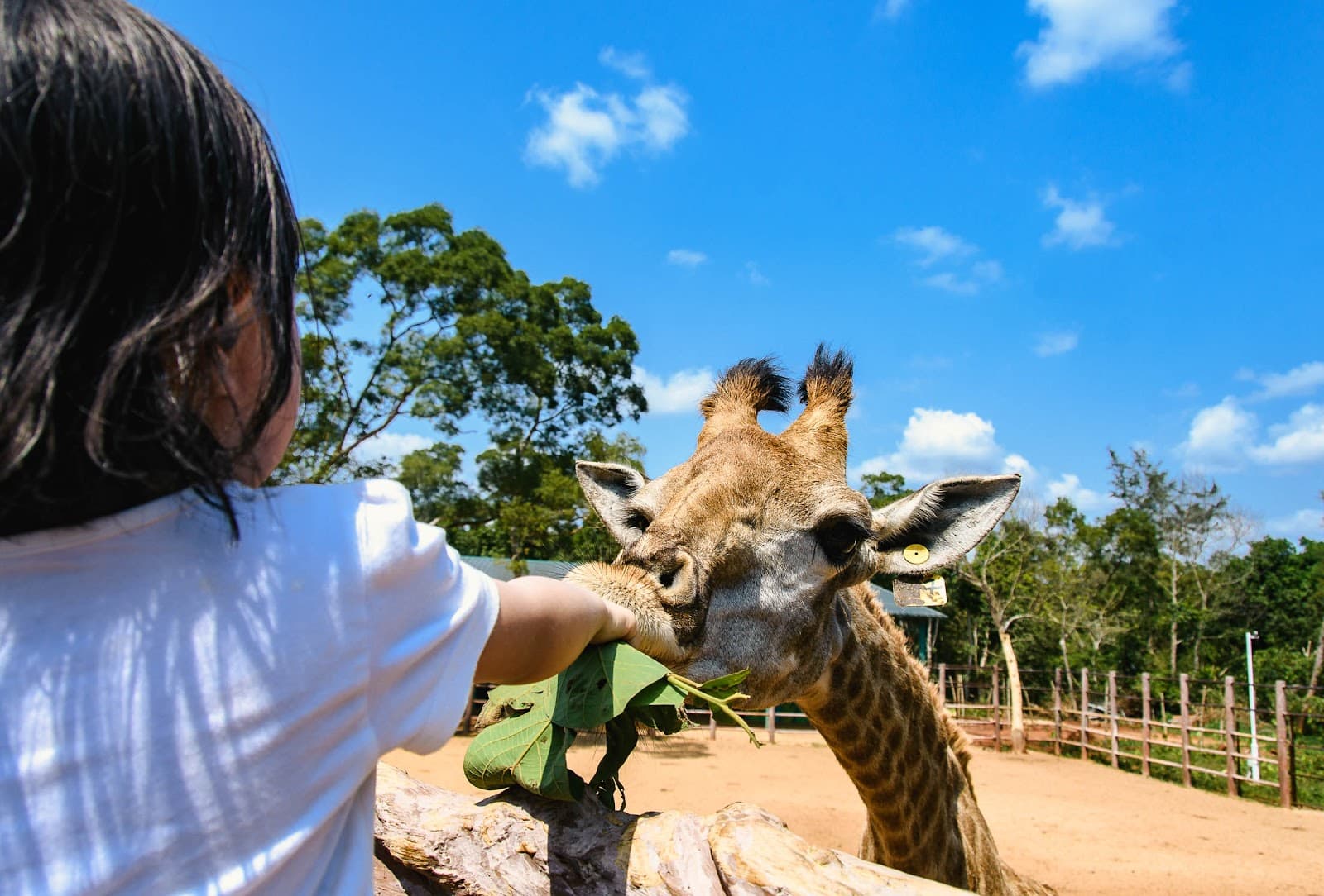 Hainan Tropical Wildlife Park & Botanical Garden - Image 1