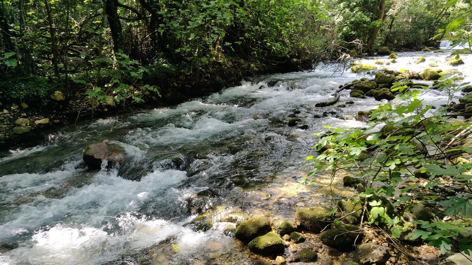 Ljuta River Mills Konavle - Image 1