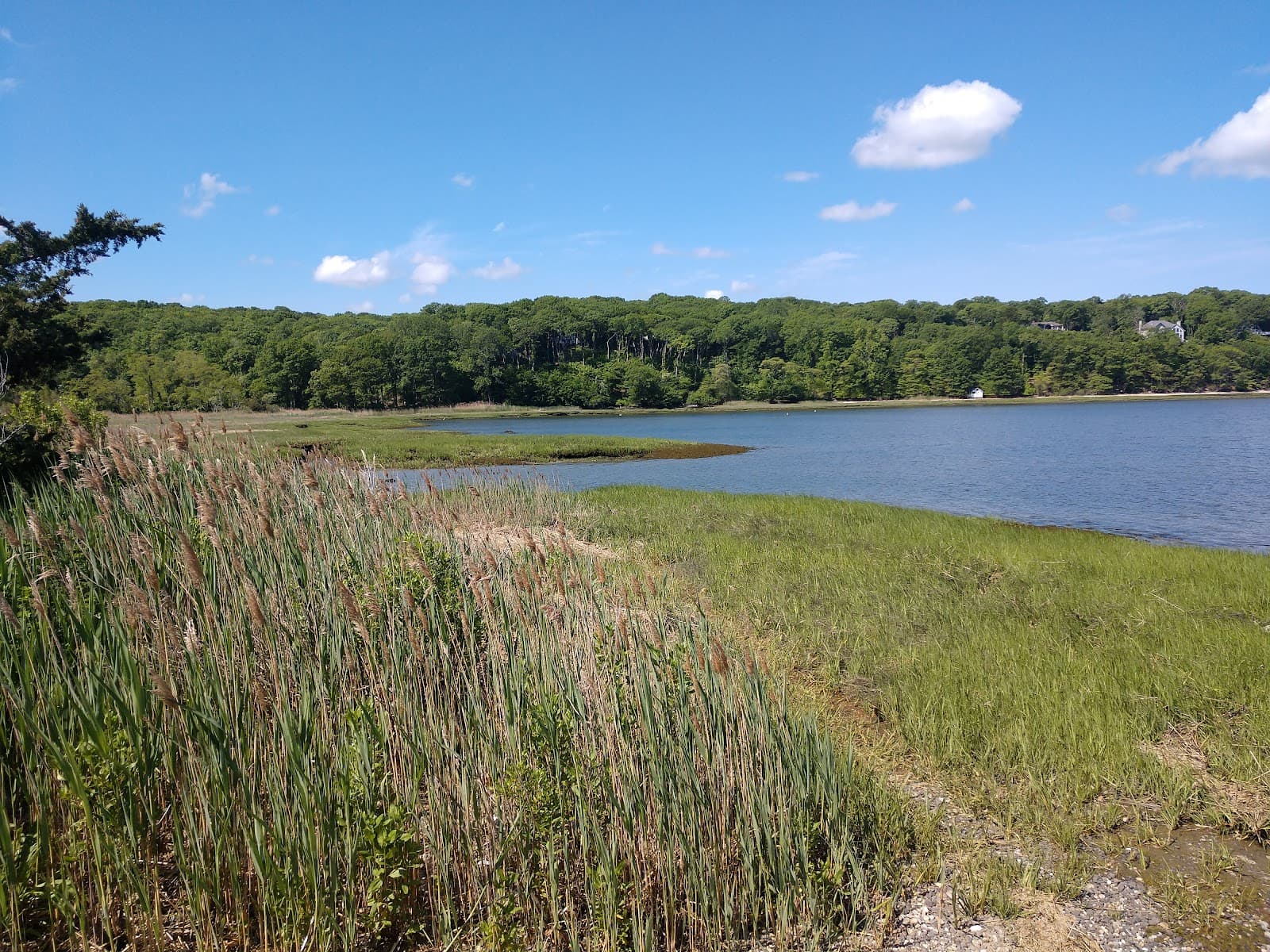 Satterly Landing (Mount Sinai) - Image 1
