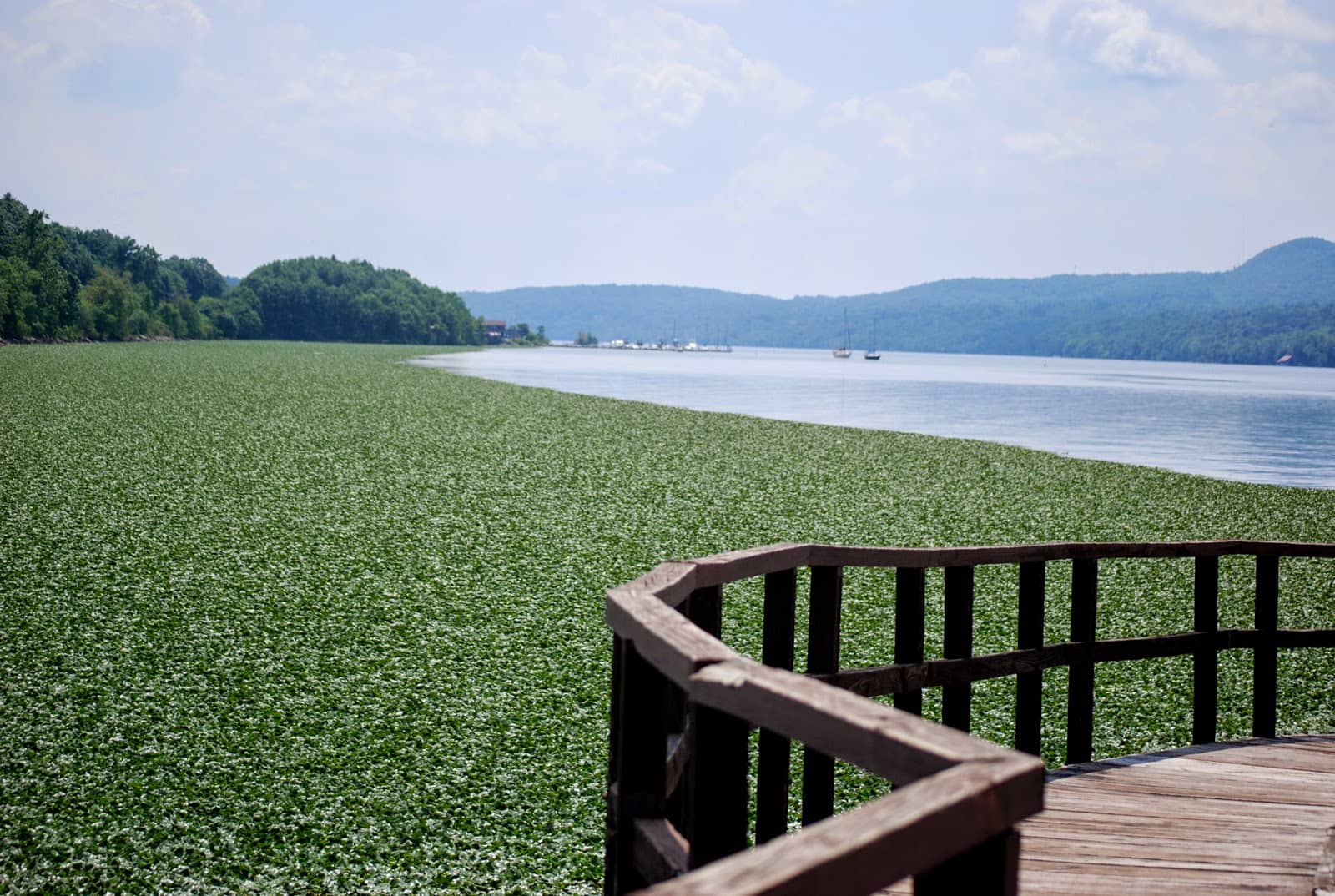 Environmental Education Exhibits