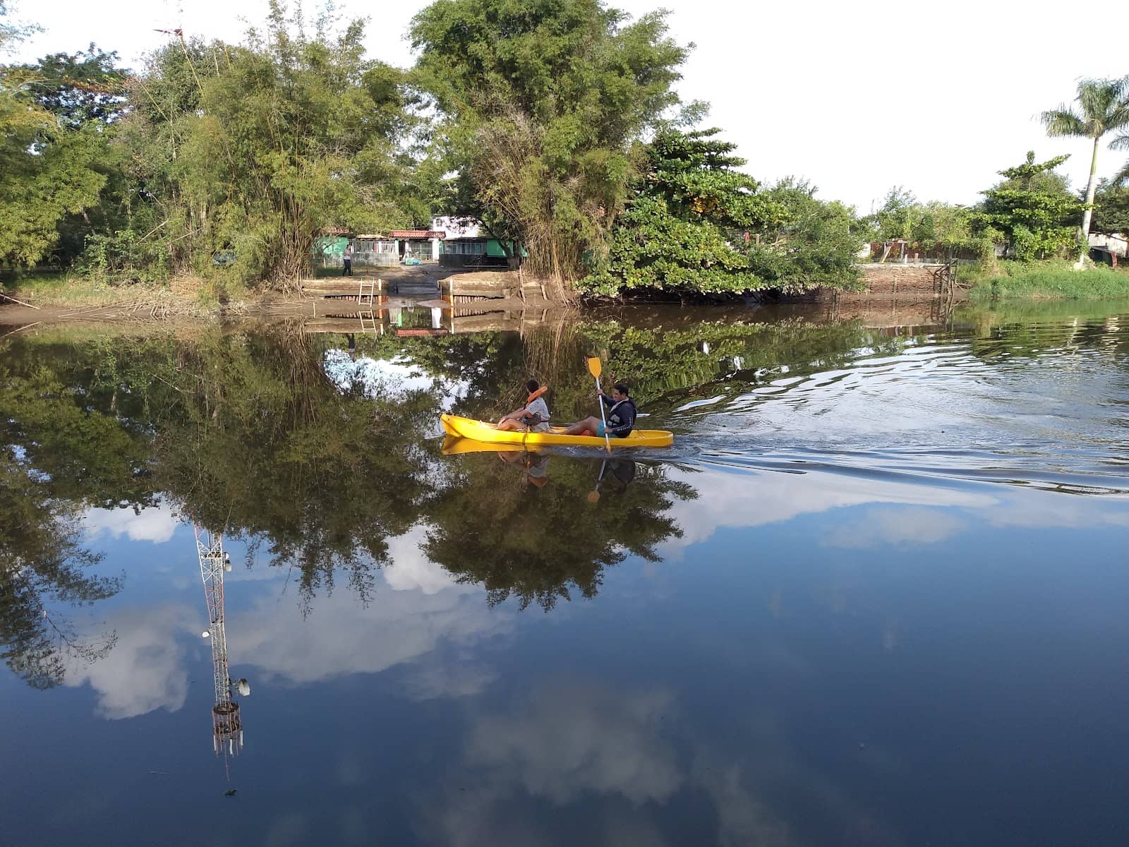 Conservation and Restoration Focus