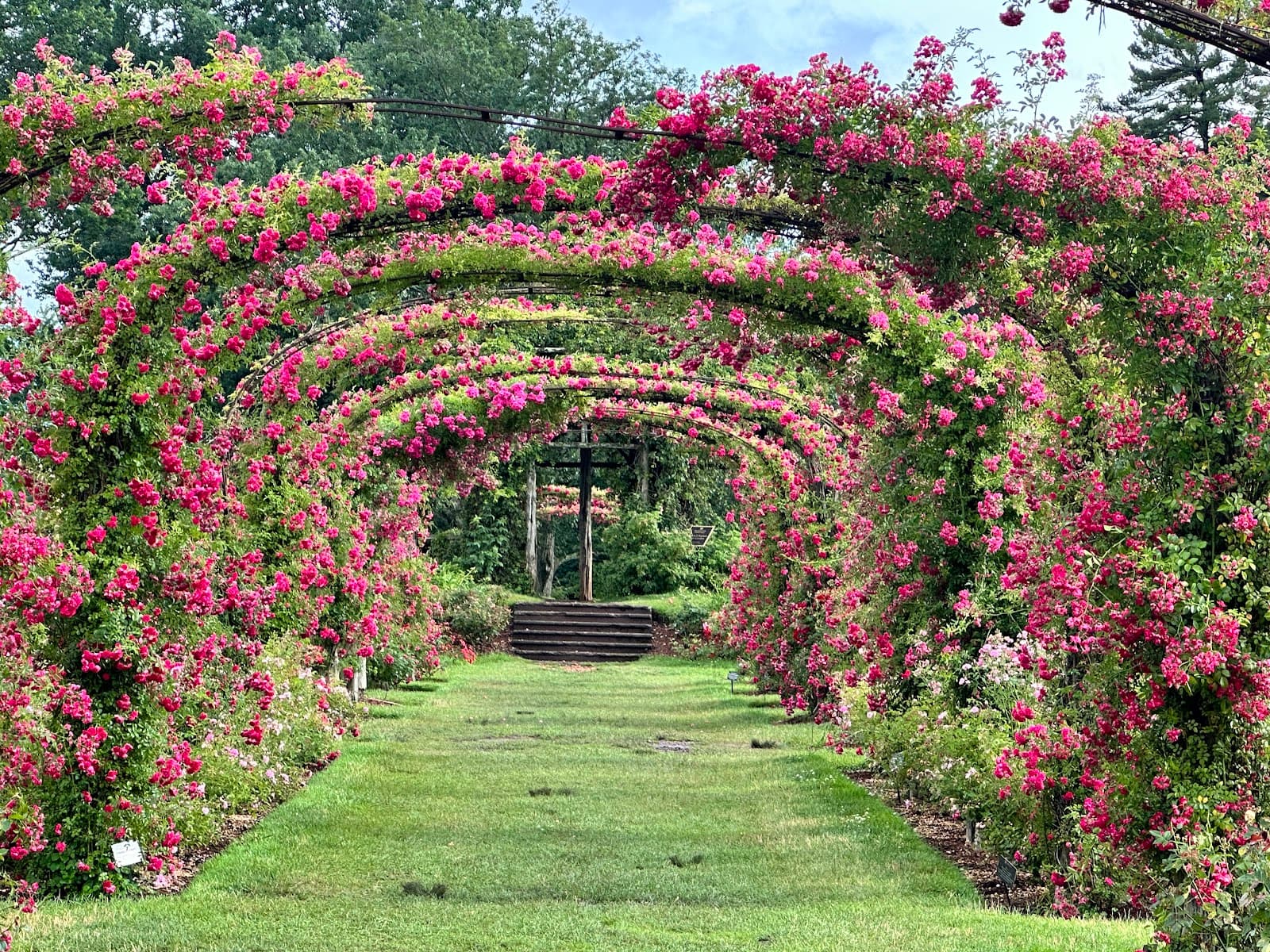 Elizabeth Park Rose Garden - Image 1