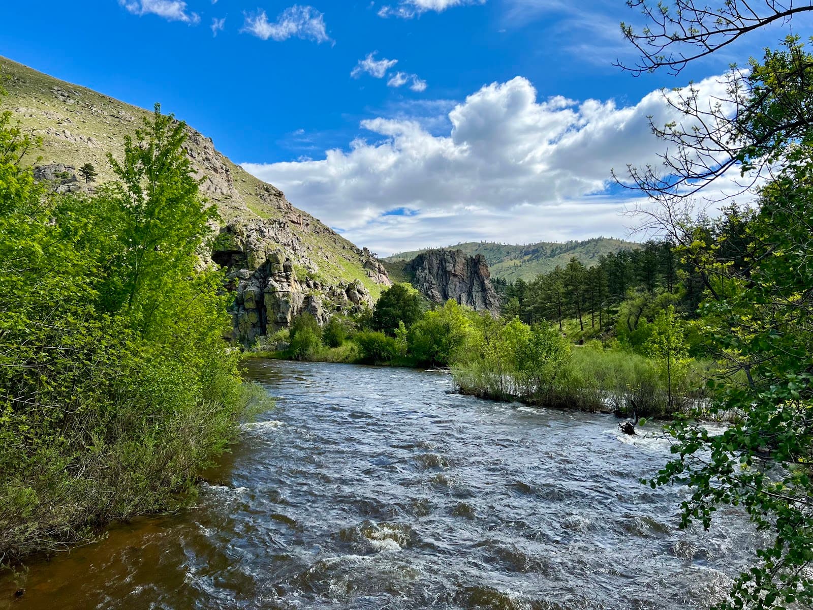 Gateway Natural Area - Image 1