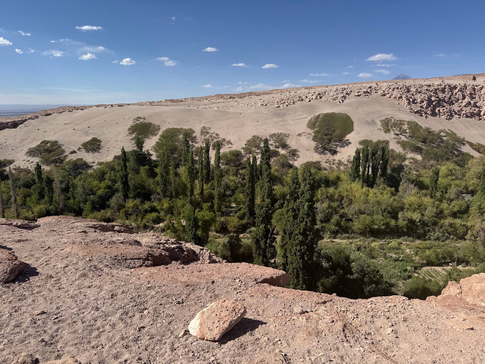 Picnic Spot by the River