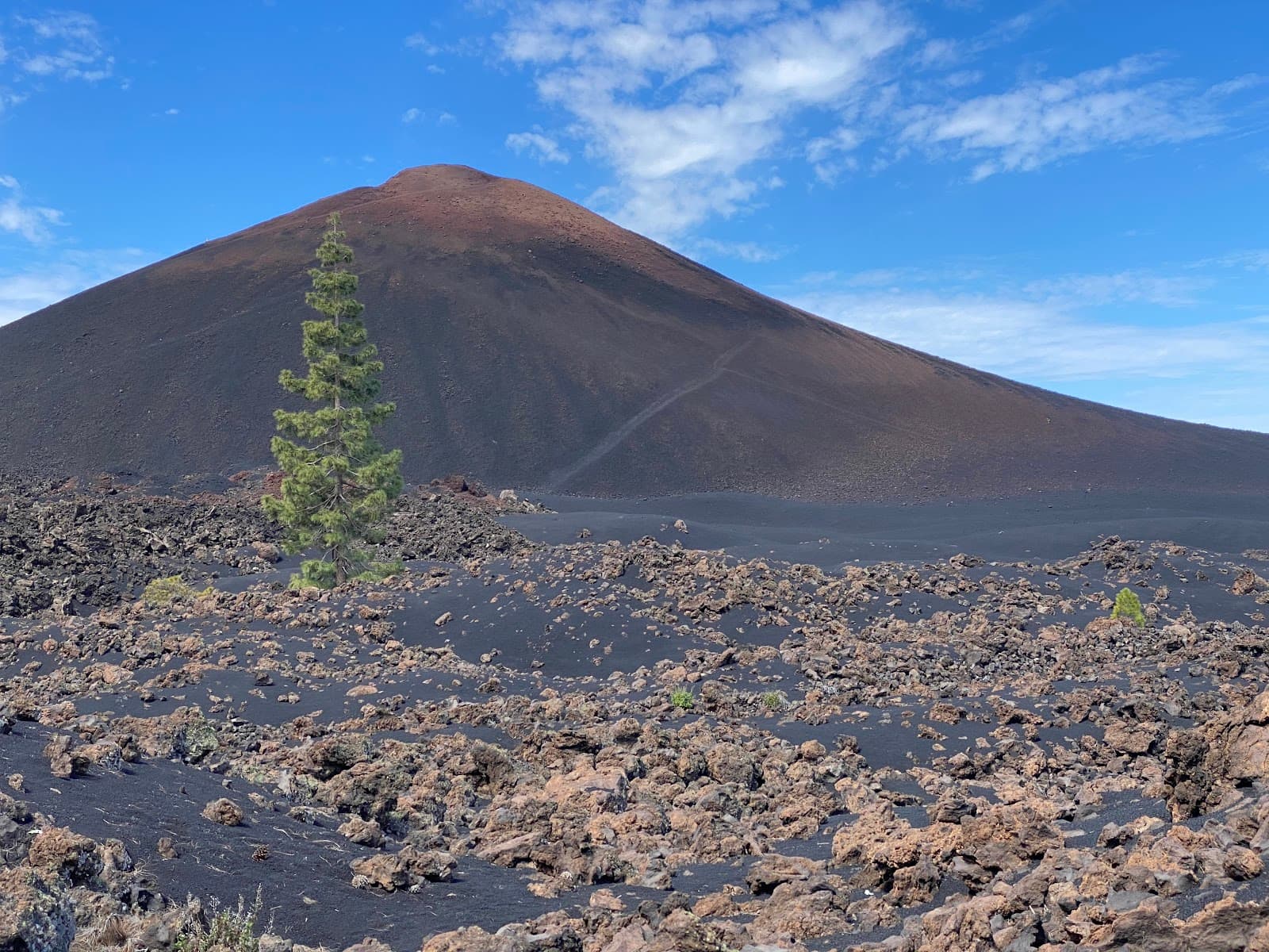 Chinyero Special Natural Reserve Tenerife - Image 1
