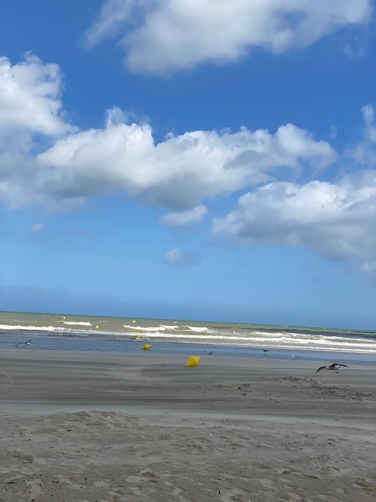 Bray Dunes Beach - Image 1