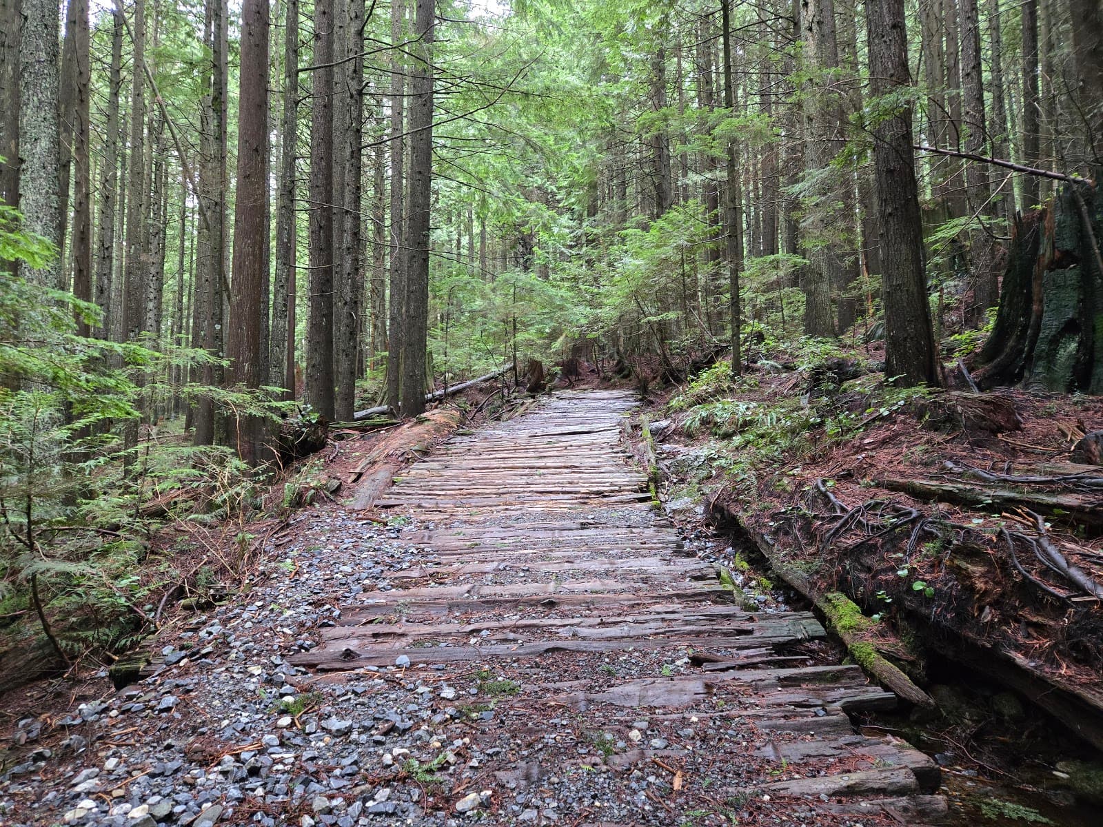 Brothers Creek Trail West Vancouver - Image 1