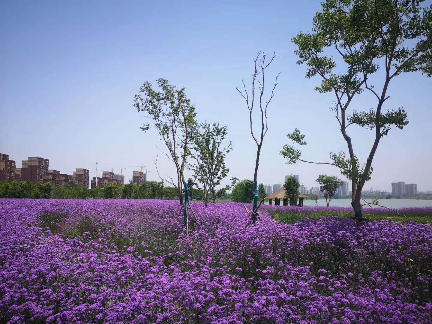 Clean and Uncrowded Environment