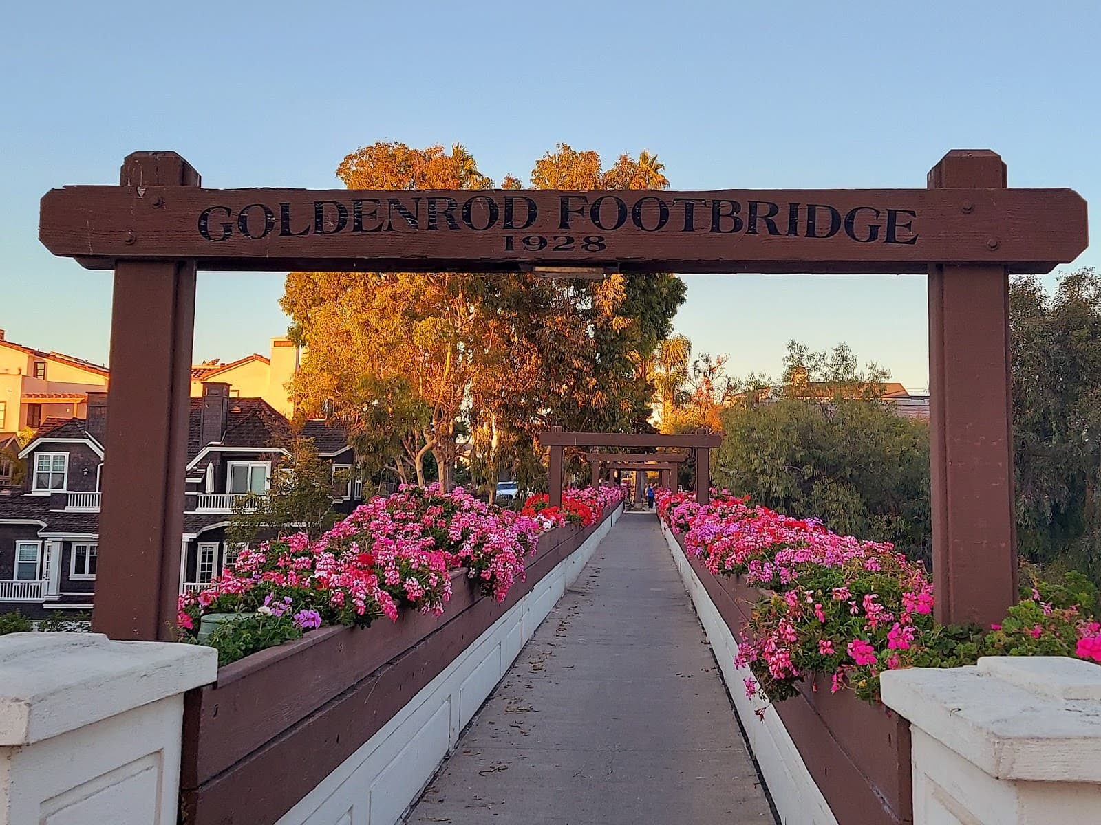 Goldenrod Footbridge - Image 1