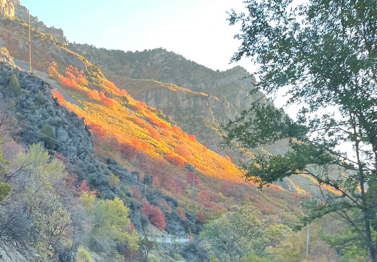 Stargazing at Monte Cristo
