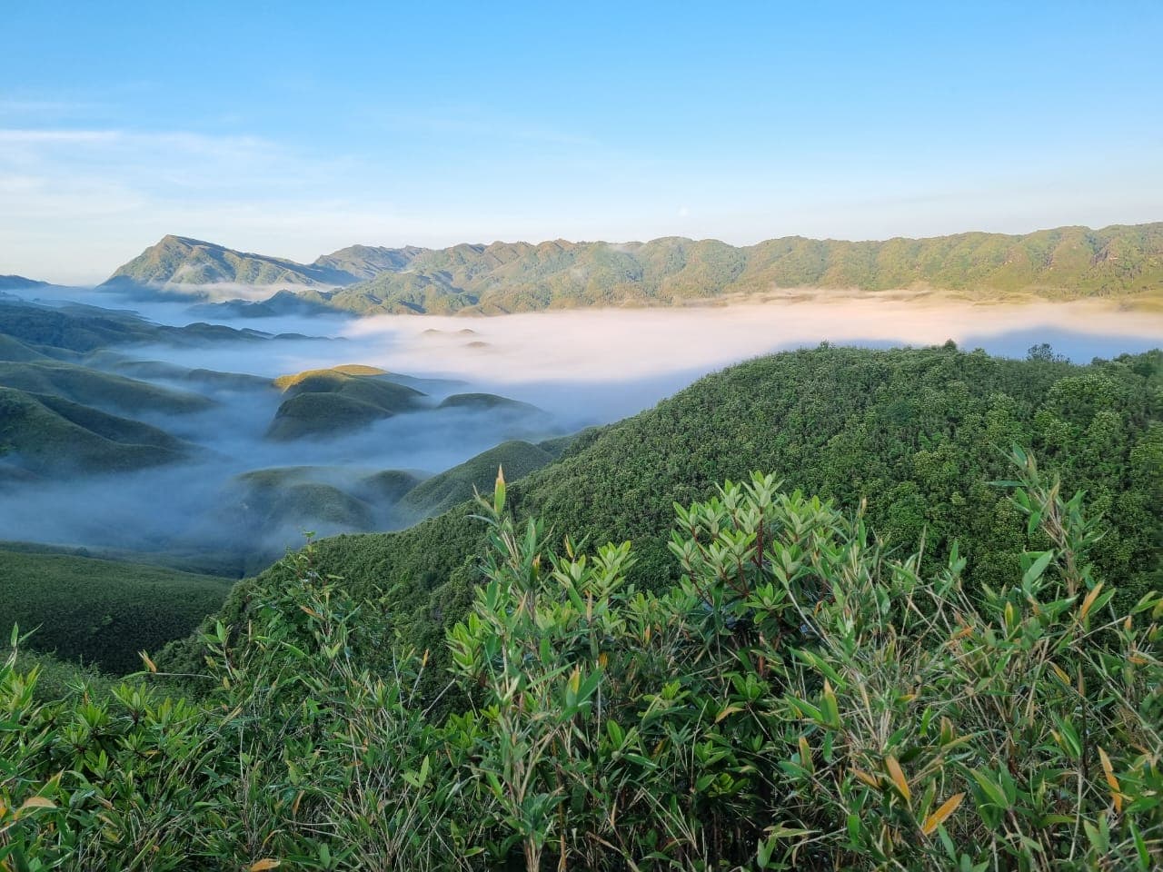 Dzukou Valley - Image 1