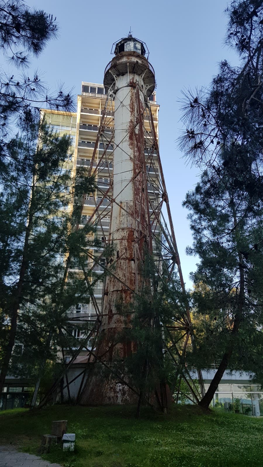 Pitsunda Pine Grove Dzhankhot - Image 1