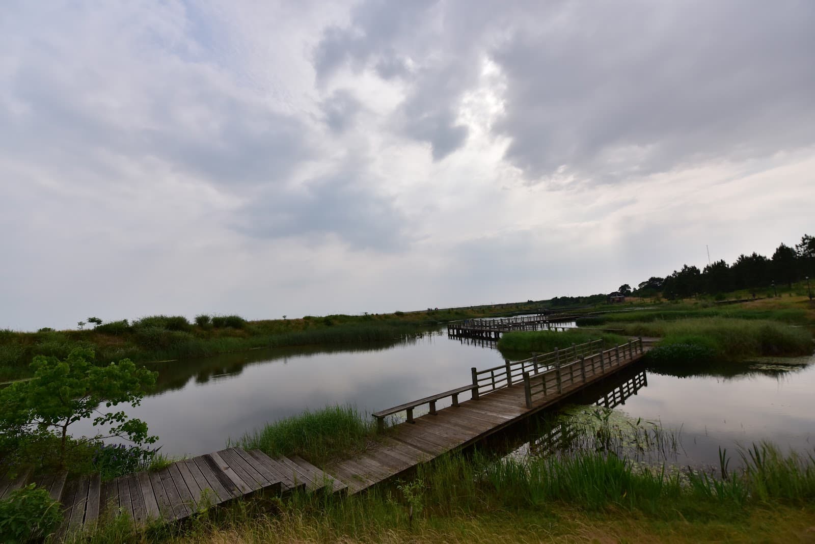 Poyang Lake National Nature Reserve (Wucheng) - Image 1
