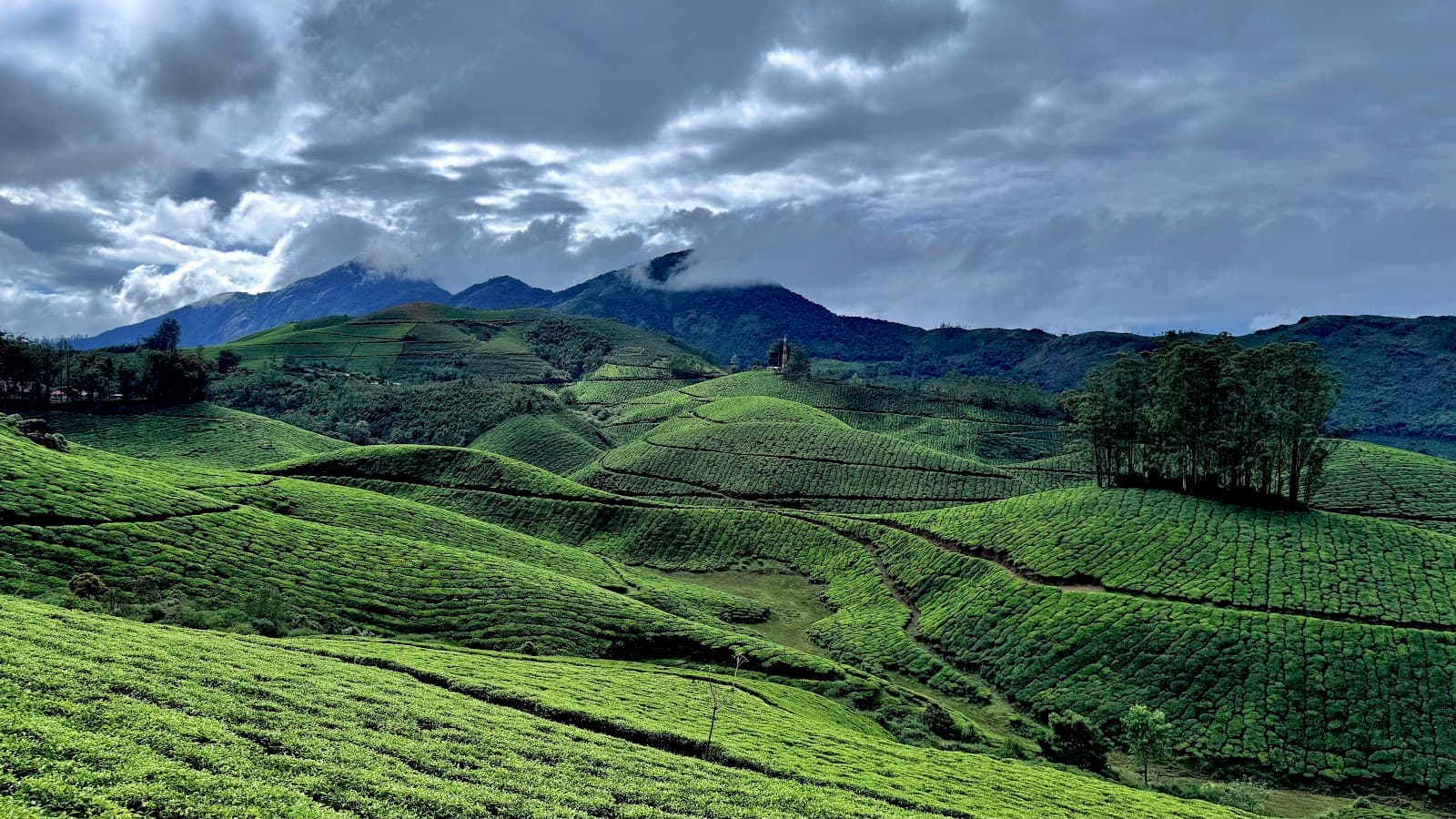 Lockhart Gap Viewpoint - Image 1