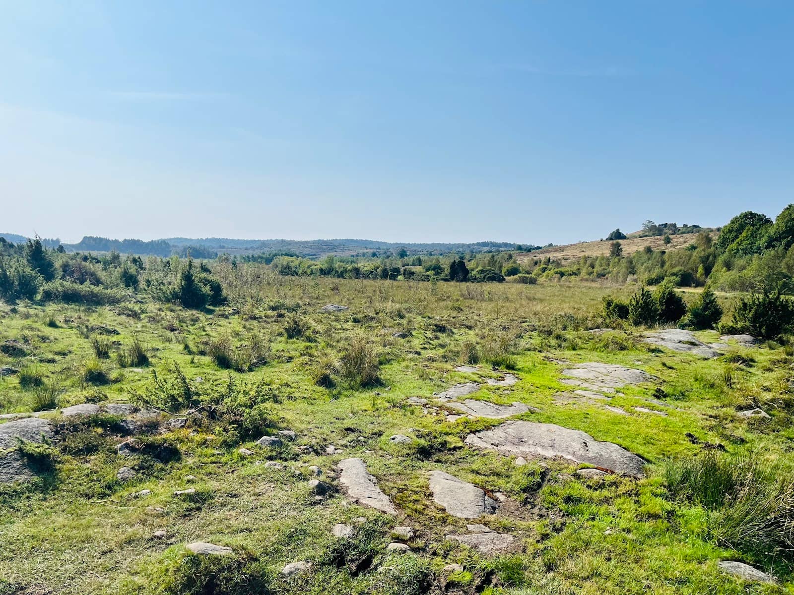 Berry Picking Opportunities