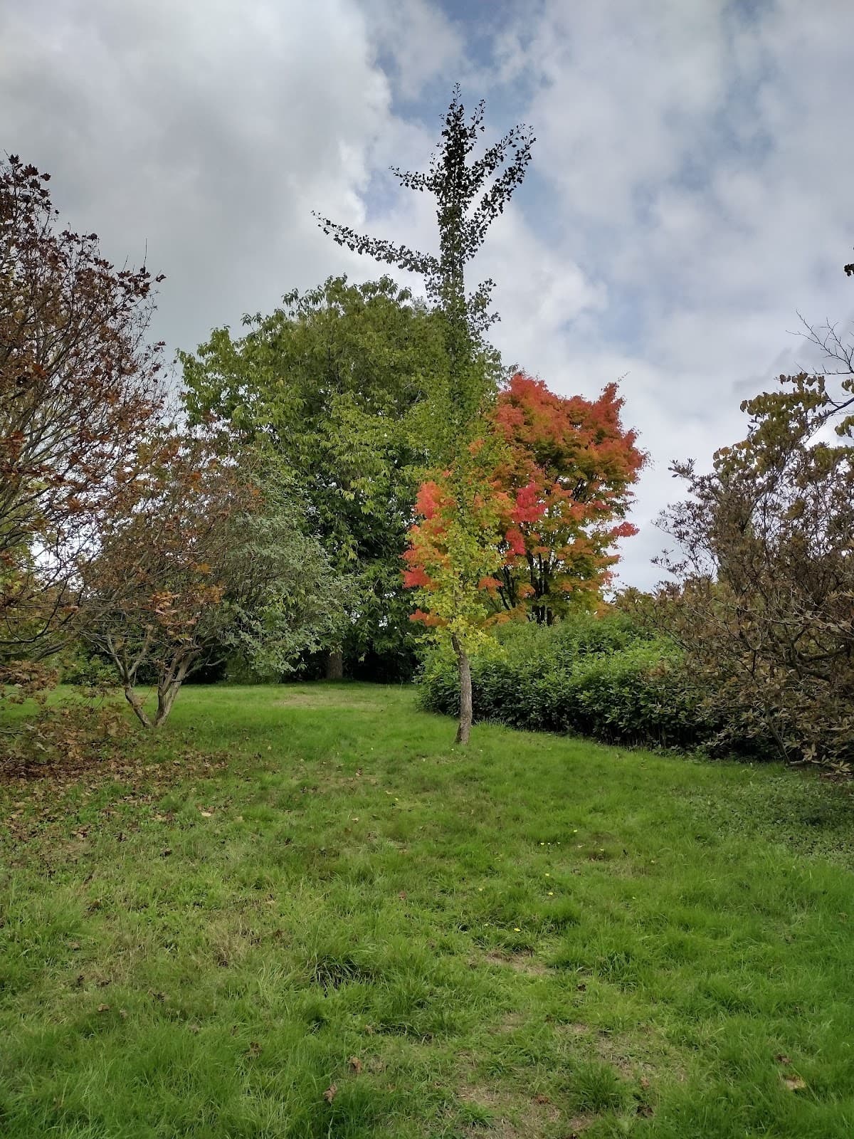 Toys Hill - Image 1