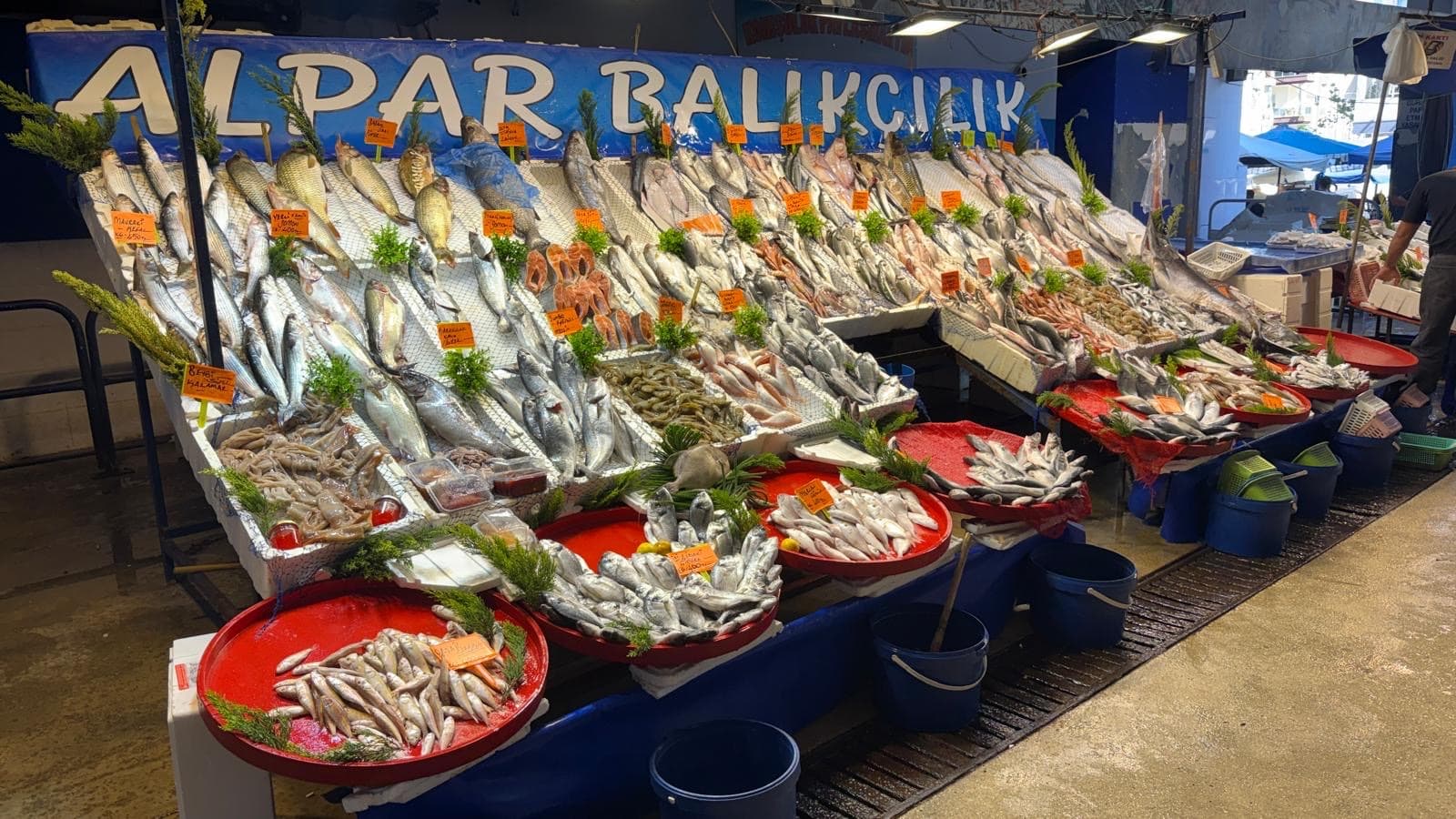 SİGORTA ÇARŞAMBA PAZARI - Image 1