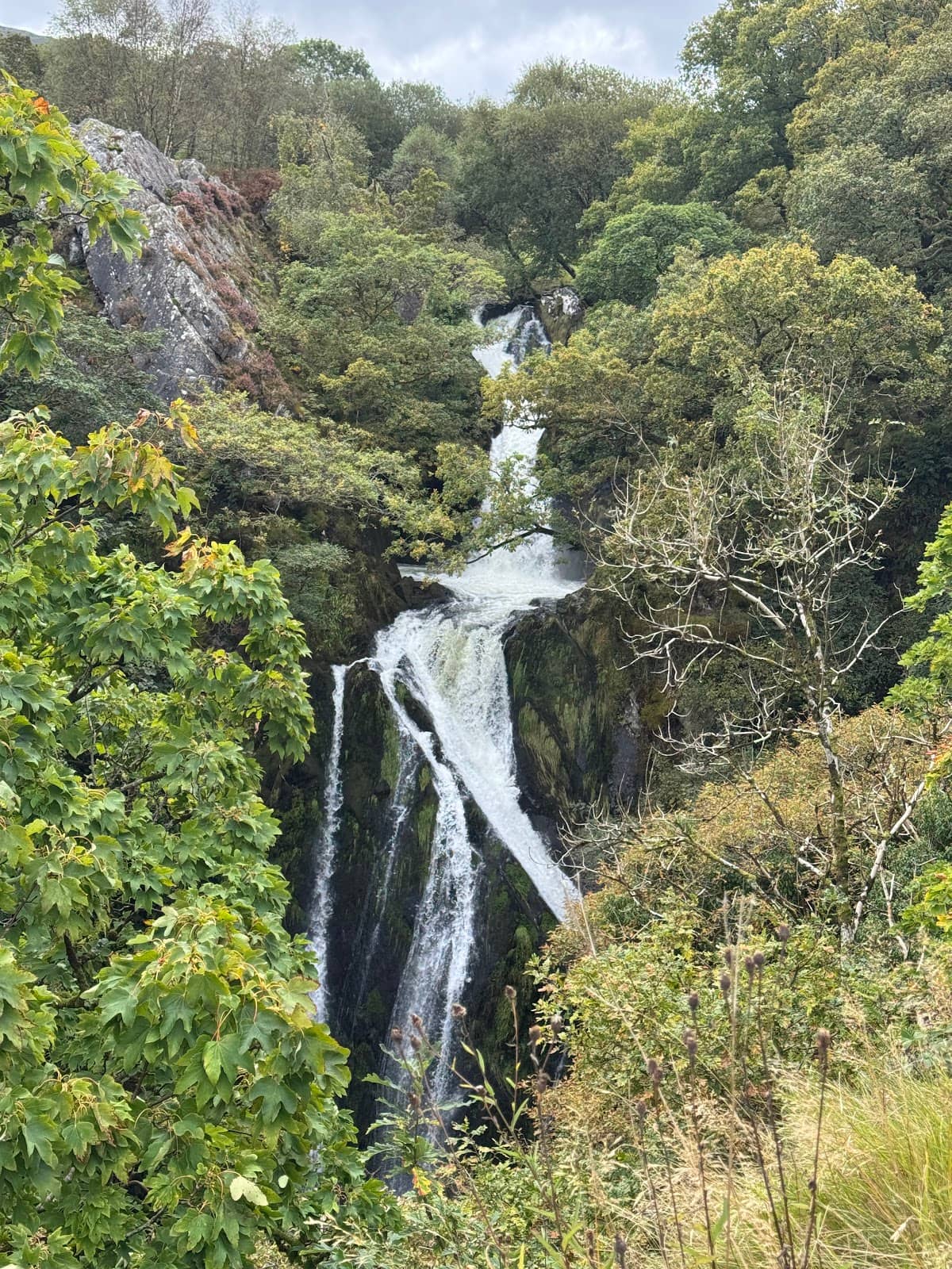 Upper and Lower Views