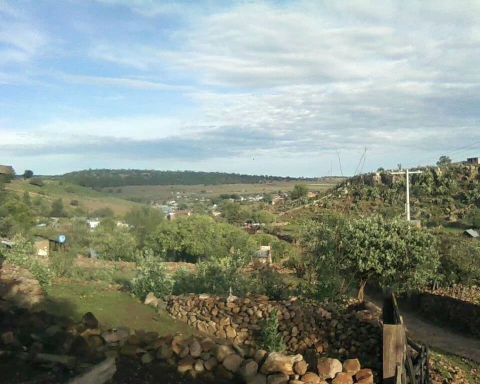 Alameda Zaragoza - Image 1