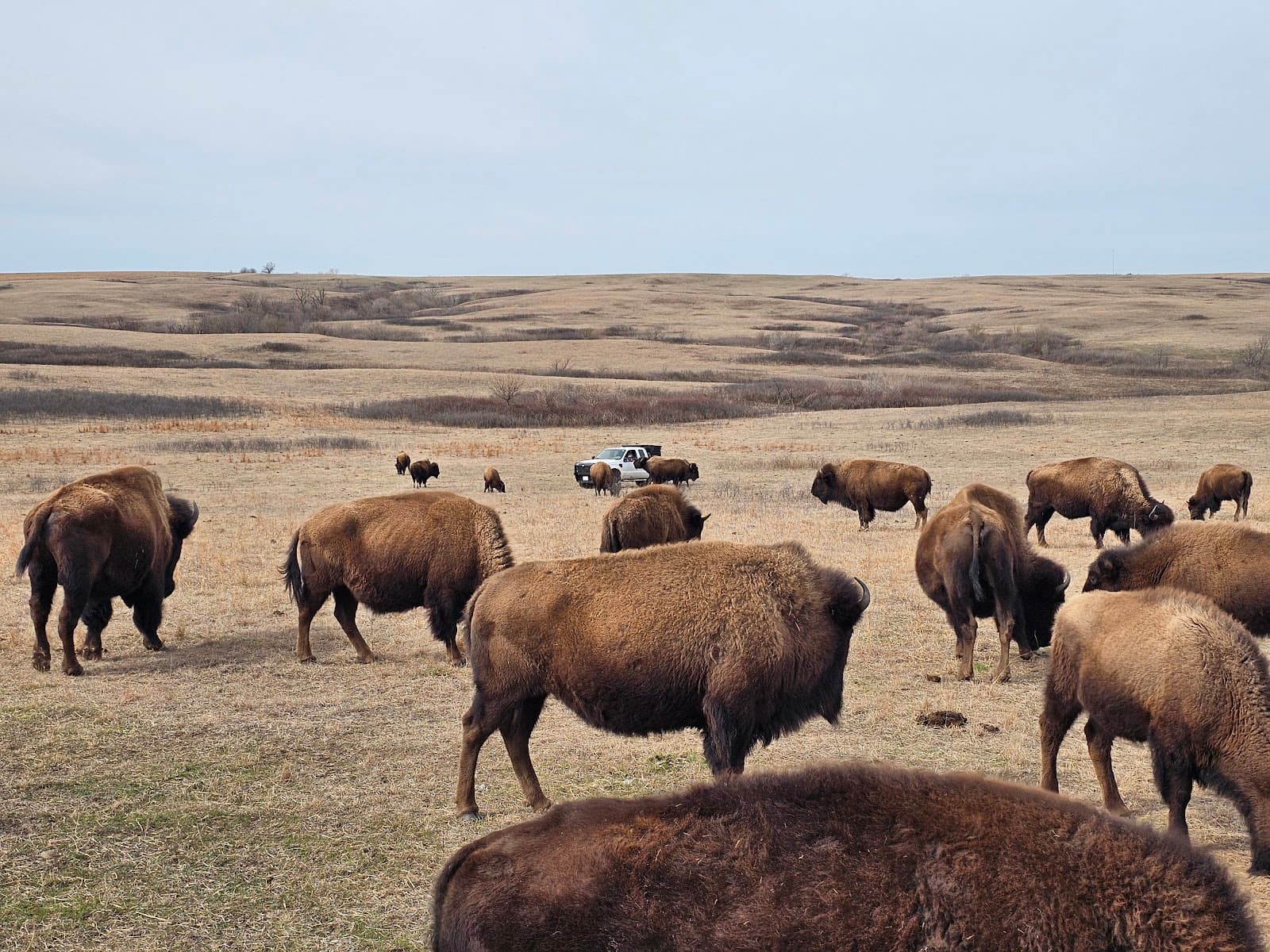 Maxwell Wildlife Refuge - Image 1